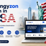 Zingyzon com in USA informational website guide for American readers